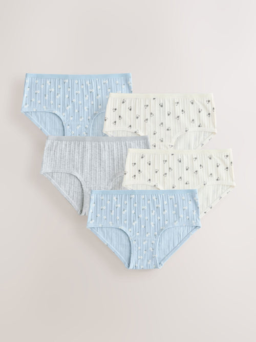 Mini Bear Hipsters Briefs 7 Pack (2-16yrs)