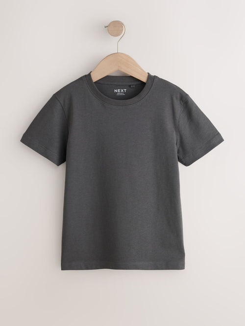 Grey Charcoal Regular Fit Short Sleeve T-Shirt (3-16yrs)