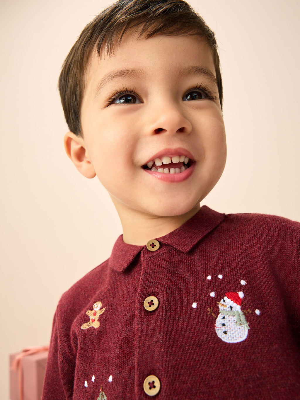 Plum Purple All Over Embroidered Knitted Christmas Polo Shirt (3mths-7yrs)
