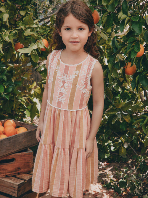 Rust Brown Embroidered Sleeveless Dress (3-16yrs)