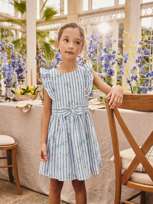 Blue Stripe Ruffle Sleeve Dress (3-16yrs)