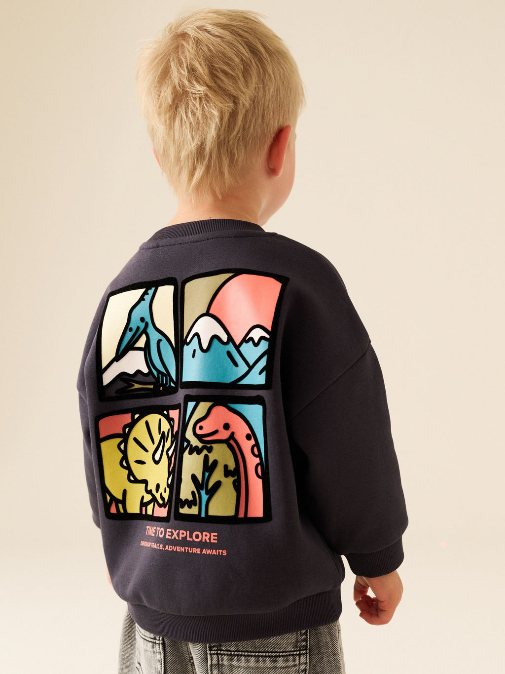 Dark Grey Dinosaur Back Printed Crew Neck Sweat Top (3mths-7yrs)