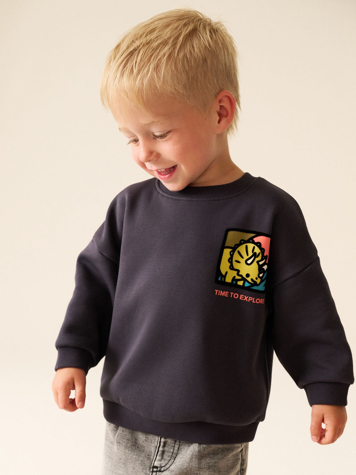 Dark Grey Dinosaur Back Printed Crew Neck Sweat Top (3mths-7yrs)