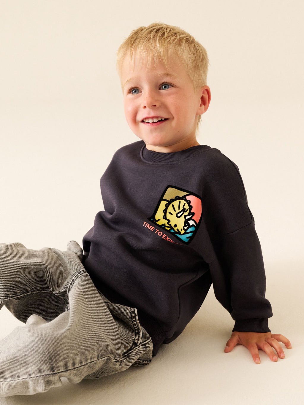 Dark Grey Dinosaur Back Printed Crew Neck Sweat Top (3mths-7yrs)