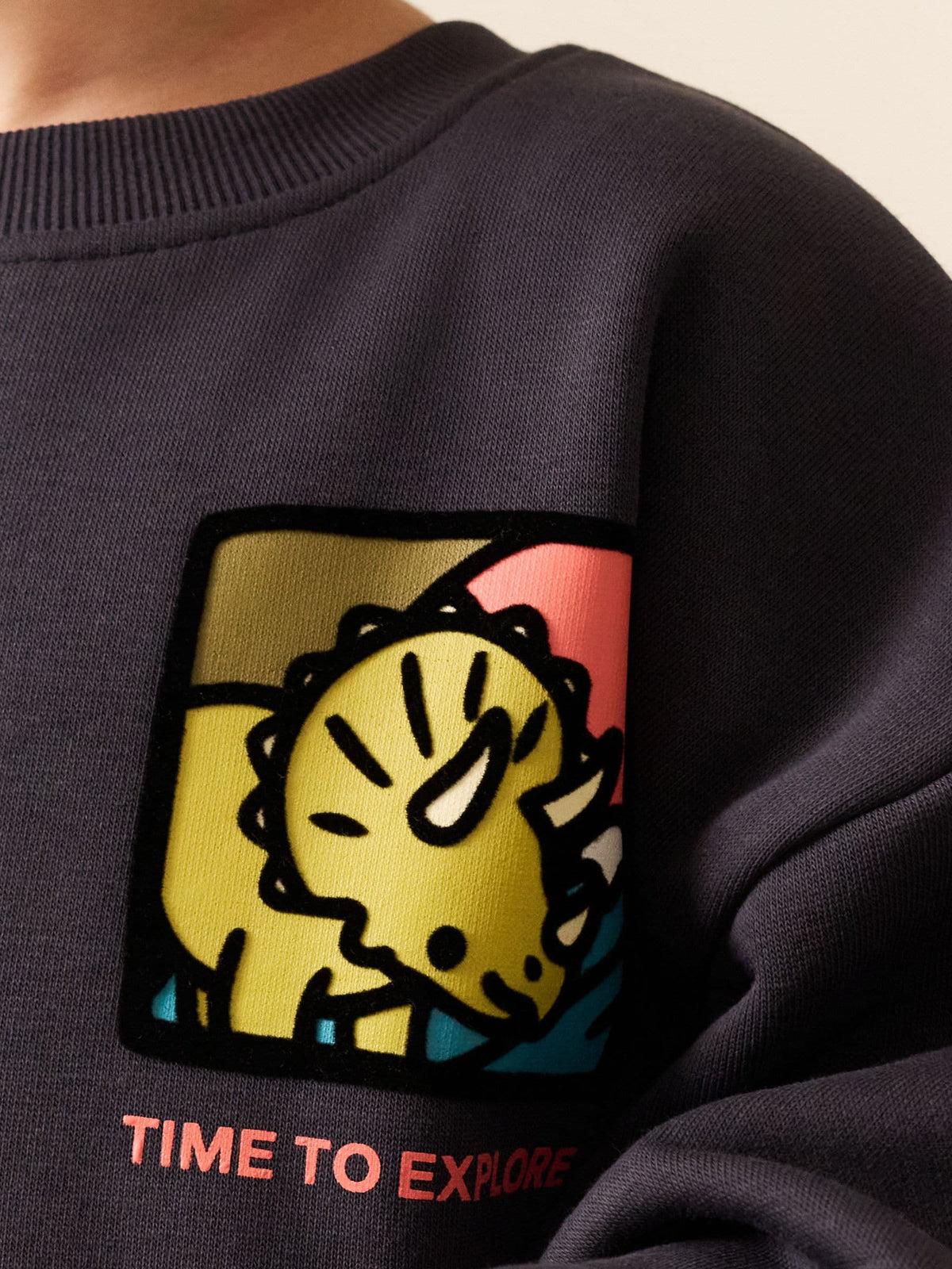 Dark Grey Dinosaur Back Printed Crew Neck Sweat Top (3mths-7yrs)