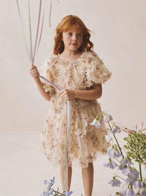 Cream/Pink Floral Floral 3D Ruffle Mesh Occasion Dress (3-16yrs)