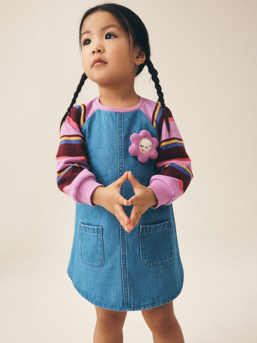 Purple Stripe Raglan Denim Dress (3mths-8yrs)