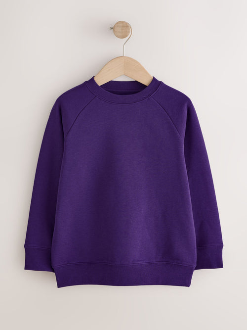 Purple Crew Neck School Sweater (3-16yrs)