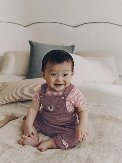 Brown Bear Jersey Dungarees and Bodysuit Baby Set (0mths-2yrs)