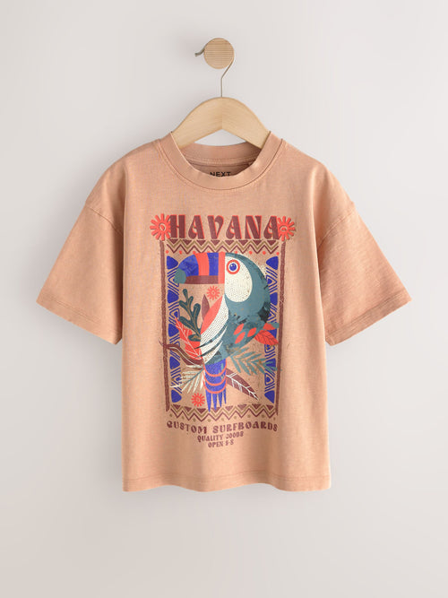 Tan Brown Washed Graphic T-Shirt (3-16yrs)