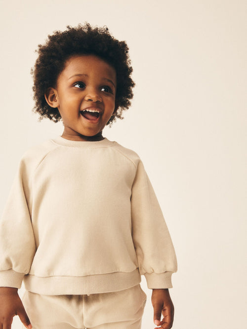 Stone Crew Neck Sweatshirt (3mths-7yrs)