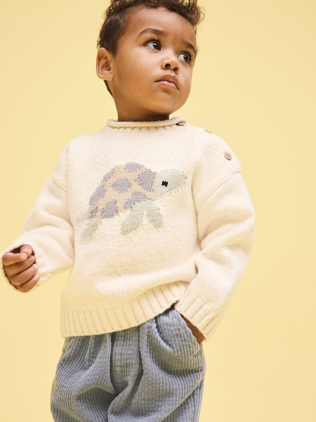 Cream Turtle Character Knitted Crew Neck Jumper (3mths-7yrs)