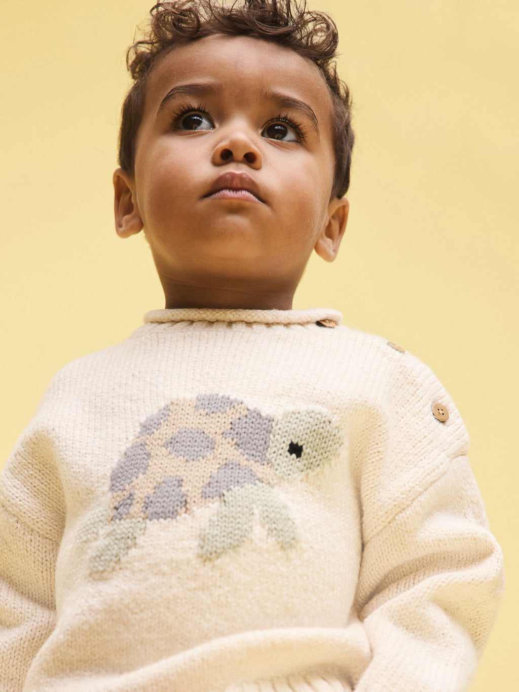 Cream Turtle Character Knitted Crew Neck Jumper (3mths-7yrs)