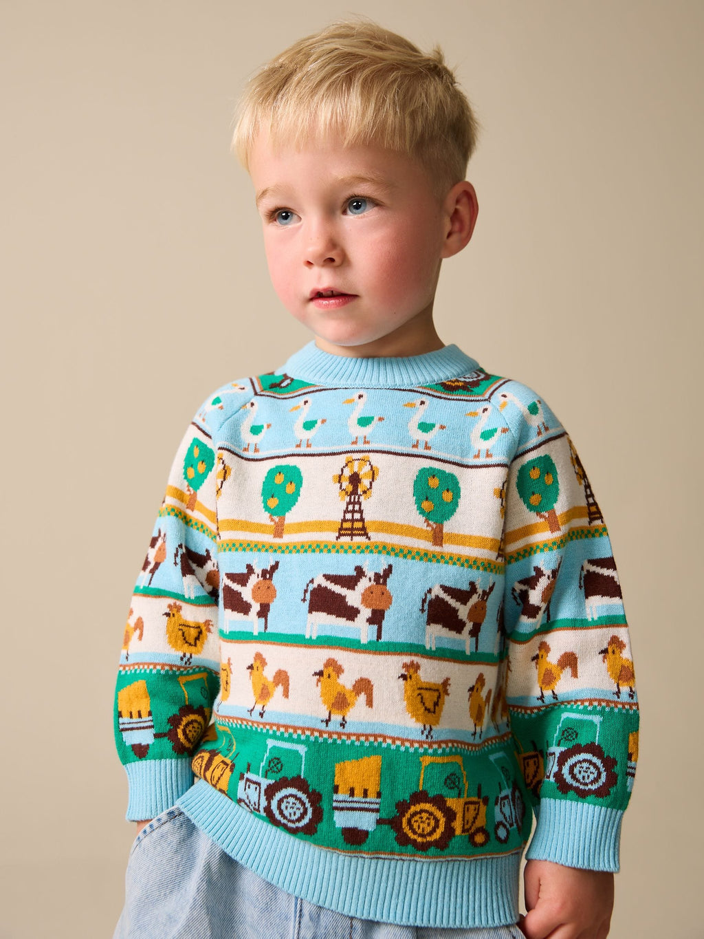 Multi Fairisle Pattern Character Knitted Crew Neck Jumper (3mths-7yrs)