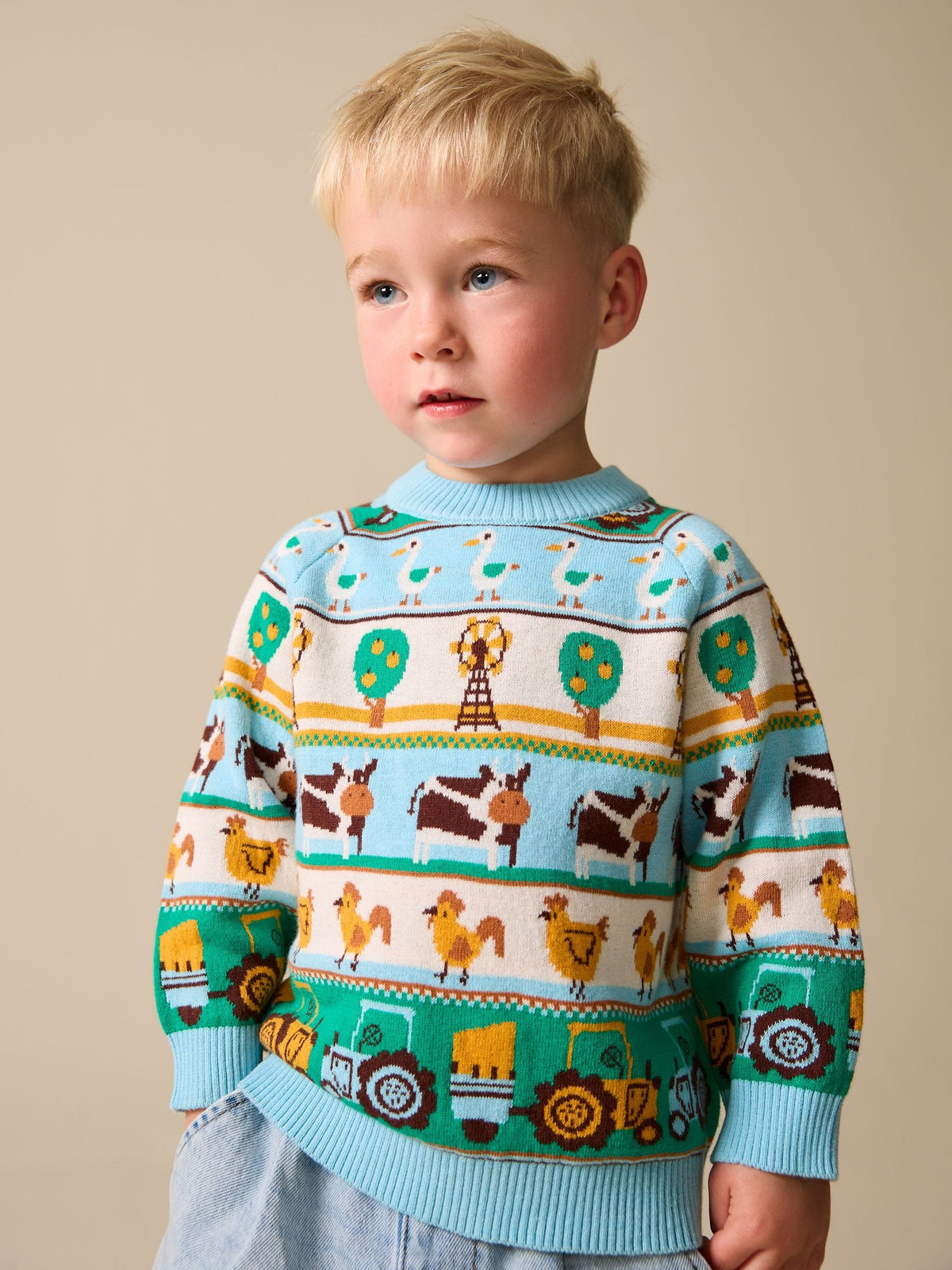 Multi Fairisle Pattern Character Knitted Crew Neck Jumper (3mths-7yrs)