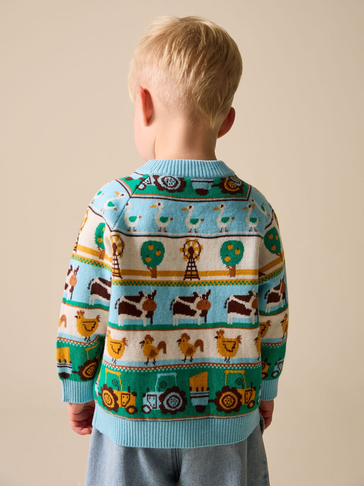 Multi Fairisle Pattern Character Knitted Crew Neck Jumper (3mths-7yrs)