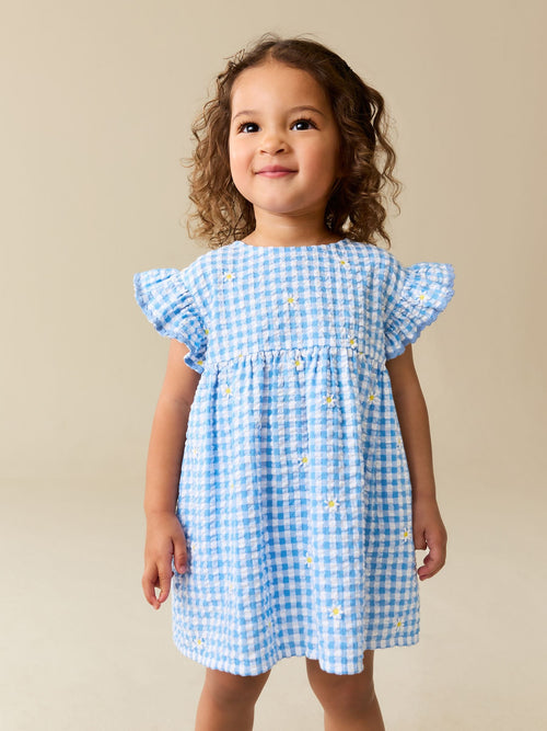 Blue Gingham Ric Rac Frill Sleeve Dress (3mths-8yrs)