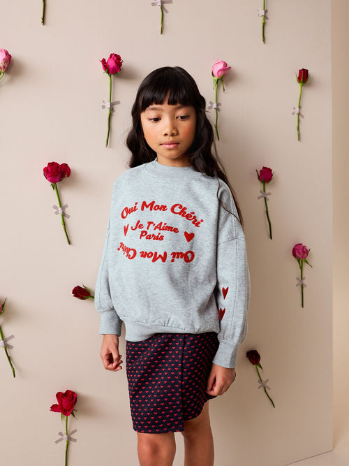 Grey/Red Graphic Sweatshirt (3-16yrs)