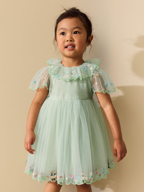 Green Embroidered Mesh Dress (3mths-7yrs)