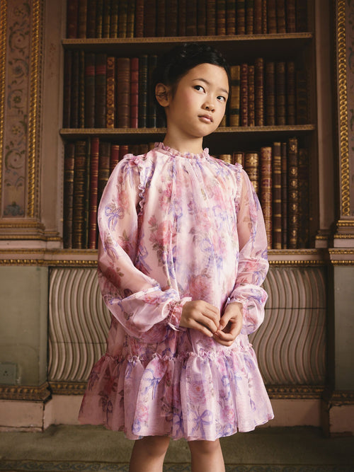 Pink Bow Floral Long Sleeve Mesh Dress (3-16yrs)