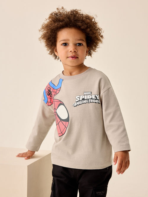Cement Spidey Long Sleeve T-Shirt (9mths-8yrs)