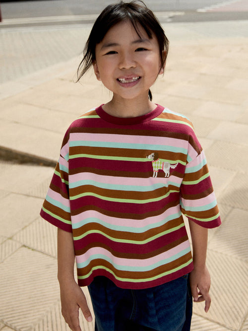 Multi Stripe Embroidered Dog T-Shirt (3-16yrs)