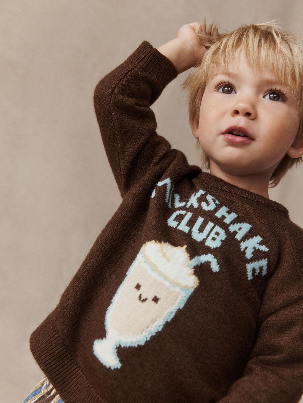 Brown Character Knitted Crew Neck Jumper (3mths-7yrs)