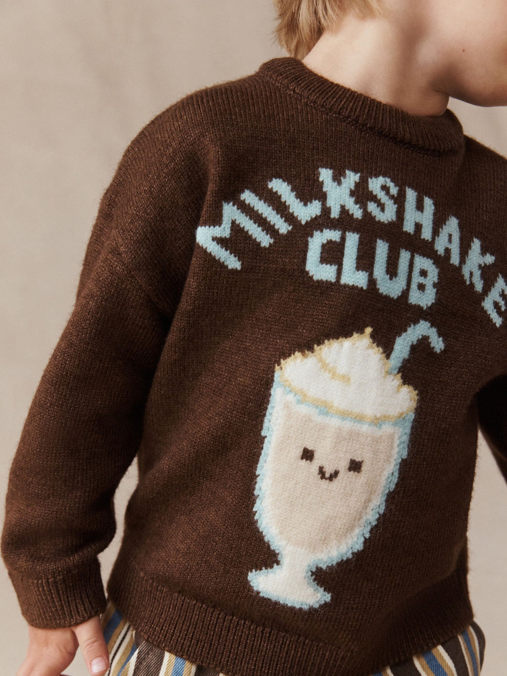 Brown Character Knitted Crew Neck Jumper (3mths-7yrs)