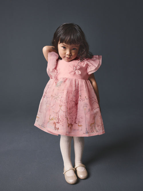 Blush Pink Floral Corsage Occasion Dress (3mths-8yrs)