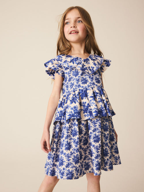 Blue Floral Ruffle Collar Dress (3-16yrs)