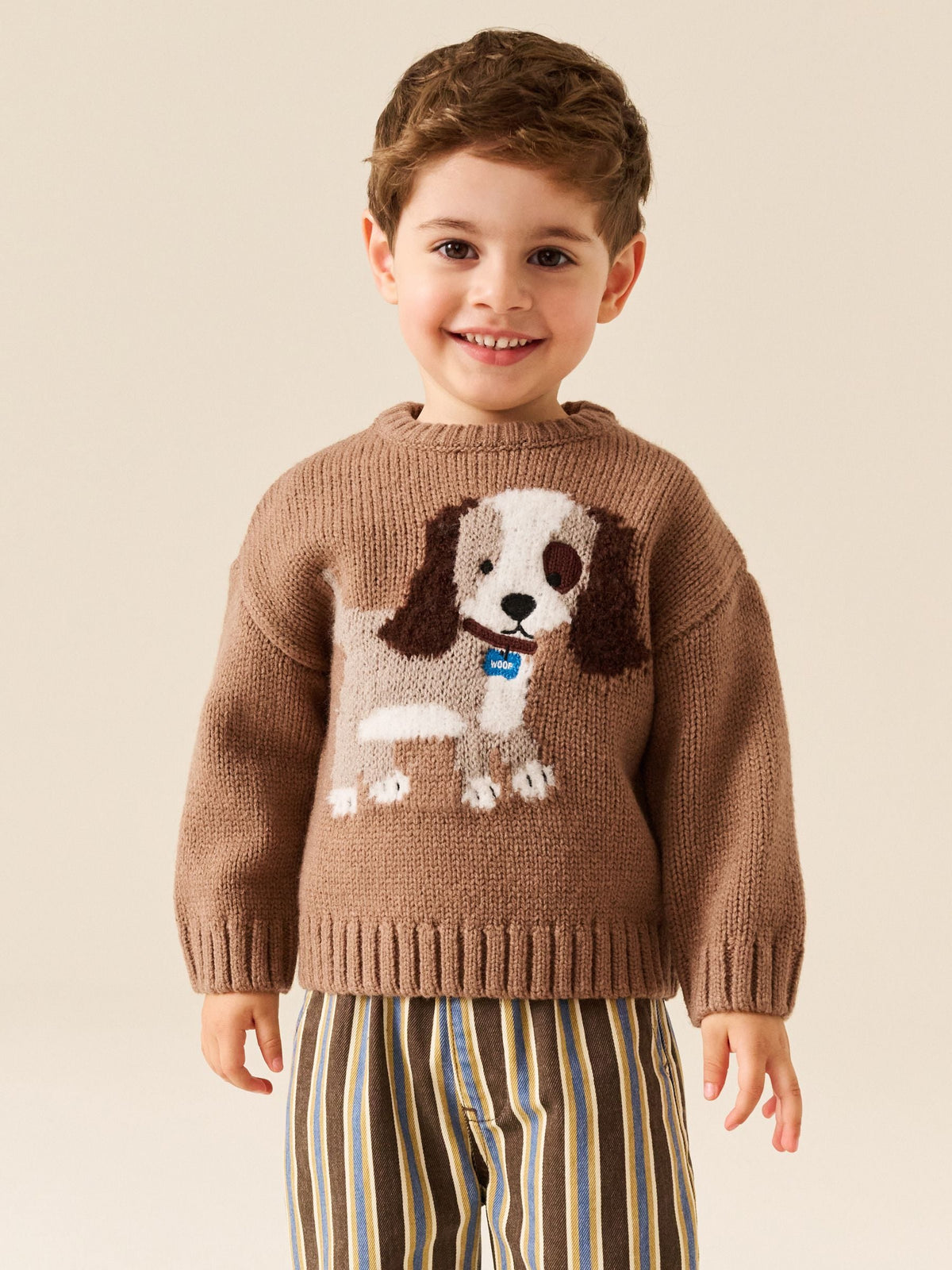 Chocolate Brown Dog Character Knitted Crew Neck Jumper (3mths-7yrs)