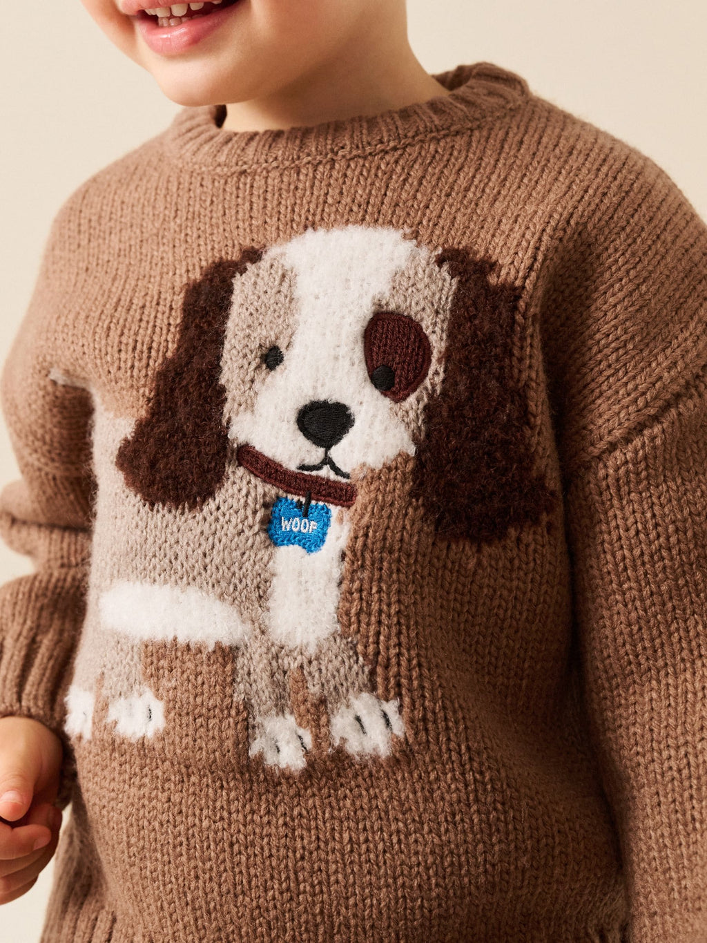 Chocolate Brown Dog Character Knitted Crew Neck Jumper (3mths-7yrs)