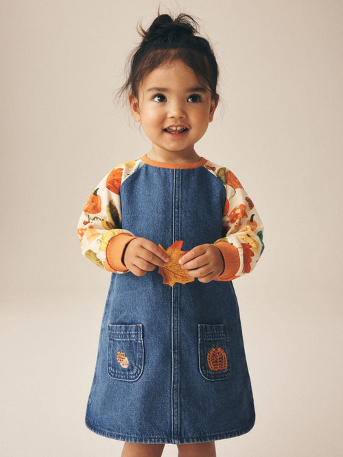 Pumpkin Print Raglan Denim Dress (3mths-8yrs)