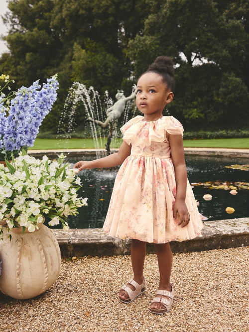 Cream Ruffle Collar Mesh Dress (3mths-7yrs)