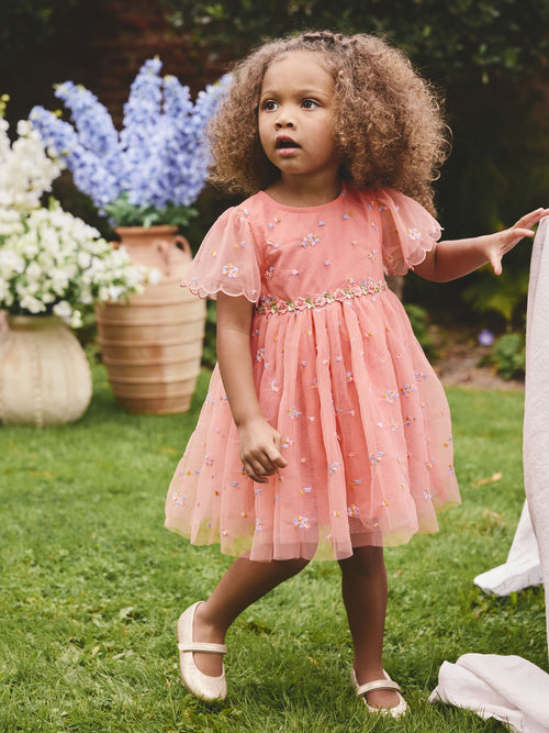 Peach Pink Embroidered Mesh Dress (3mths-8yrs)