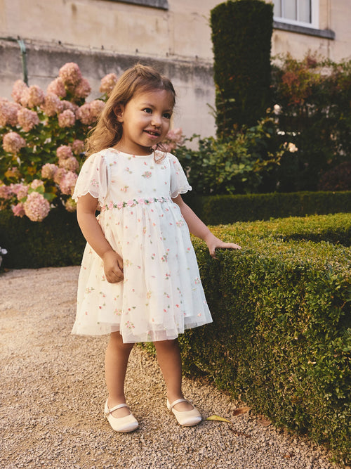 Ivory Embroidered Mesh Dress (3mths-8yrs)