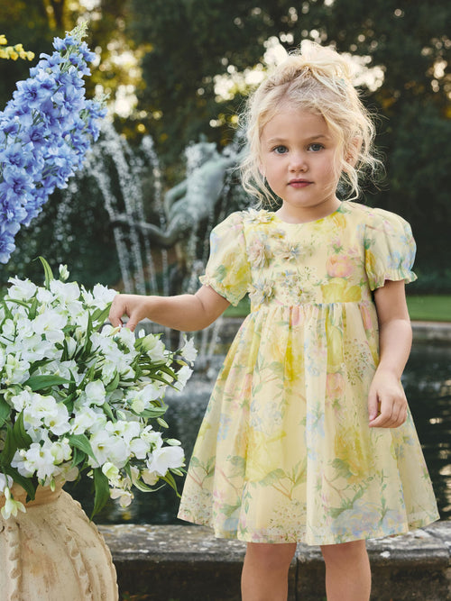 Yellow Floral Print Flower Corsage Dress (3mths-8yrs)