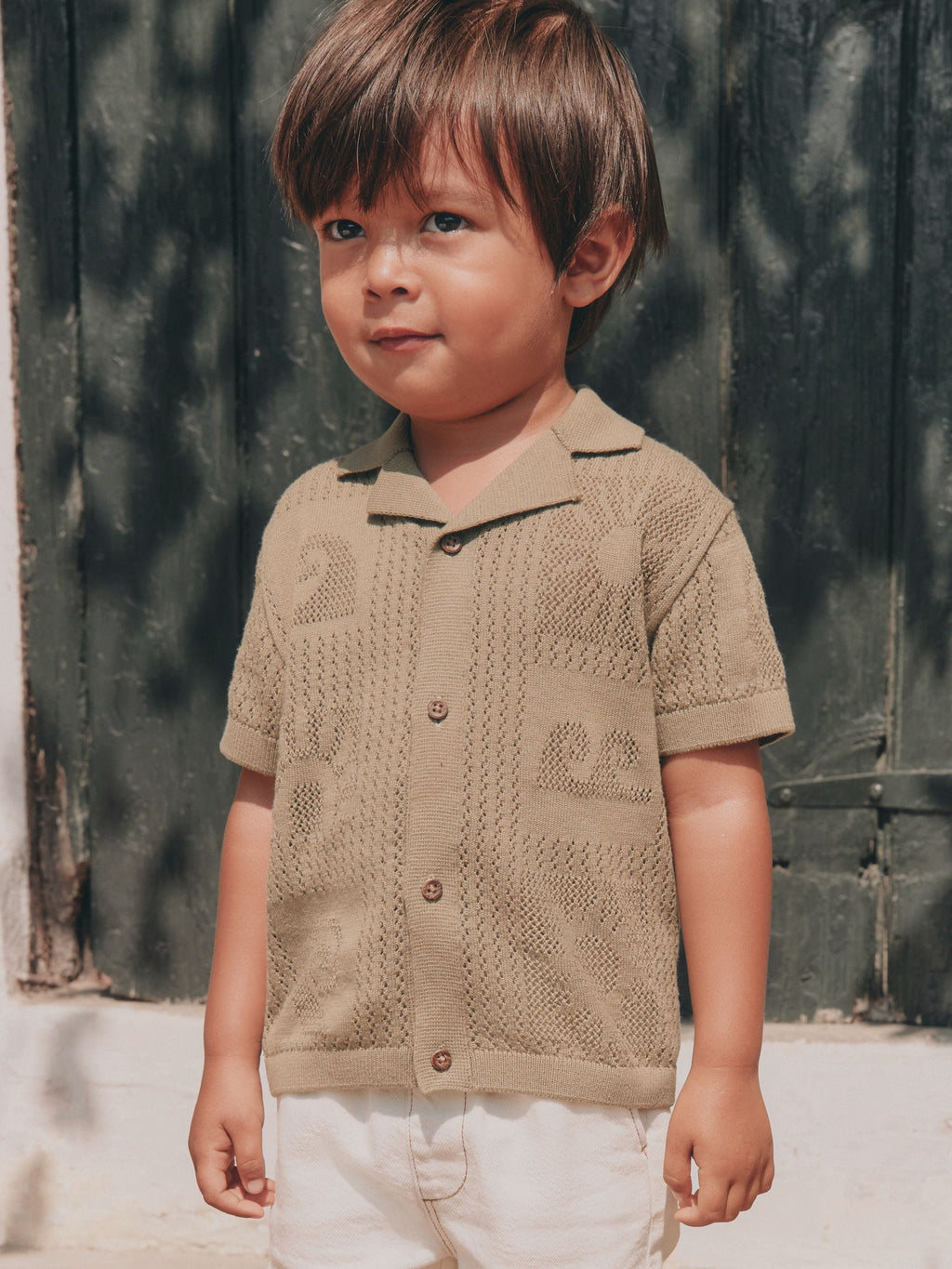Khaki Green Textured Knitted Polo Shirt (3mths-7yrs)