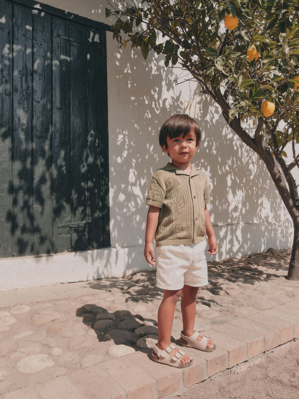 Khaki Green Textured Knitted Polo Shirt (3mths-7yrs)