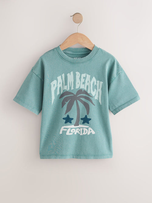 Berry/Mineral/Ecru Relaxed Fit Graphic Print Short Sleeve T-Shirts 3 Pack (3-16yrs)