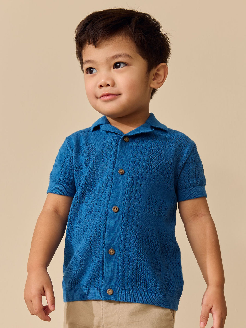 Blue Textured Knitted Polo Shirt (3mths-7yrs)