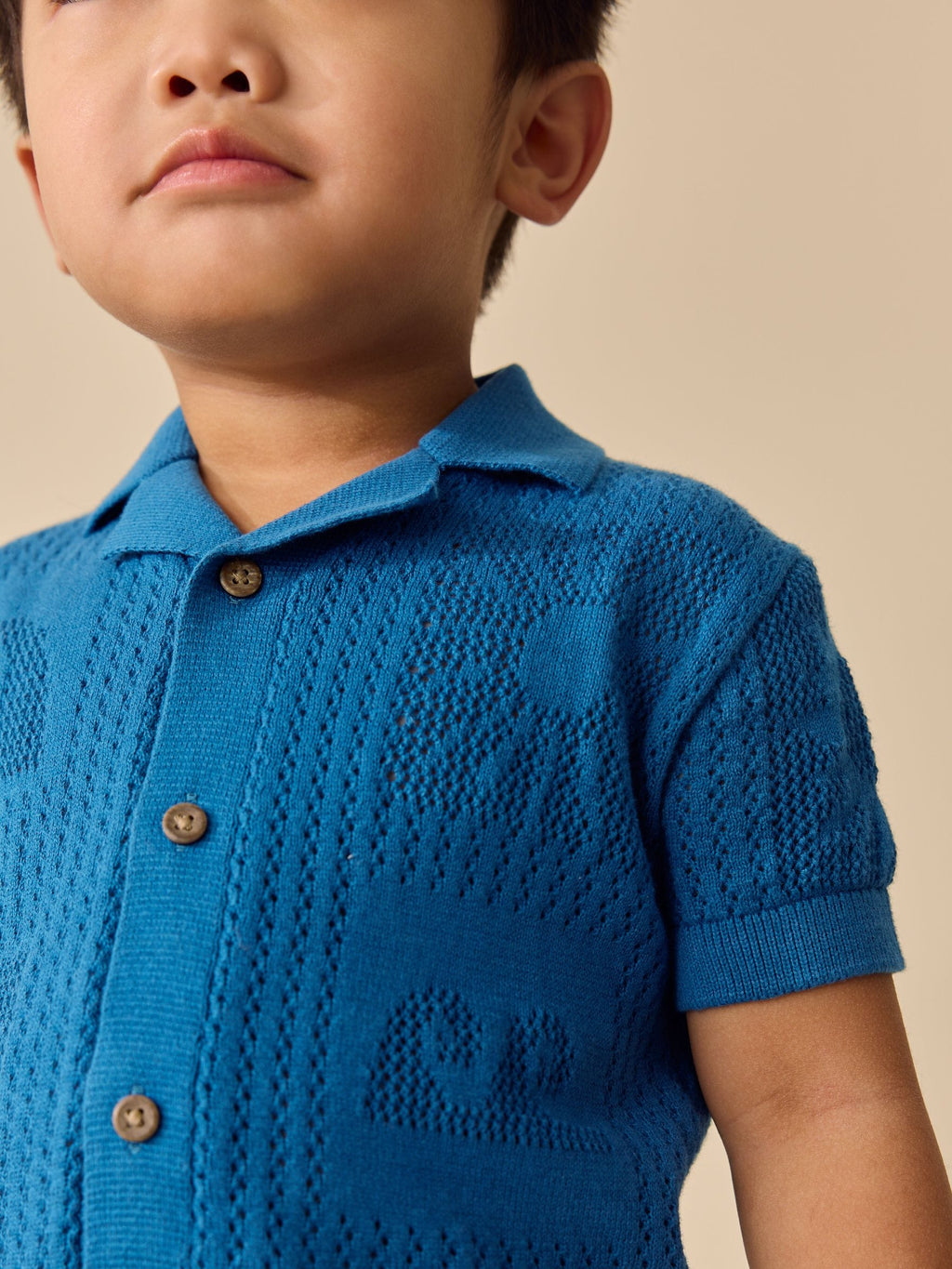 Blue Textured Knitted Polo Shirt (3mths-7yrs)