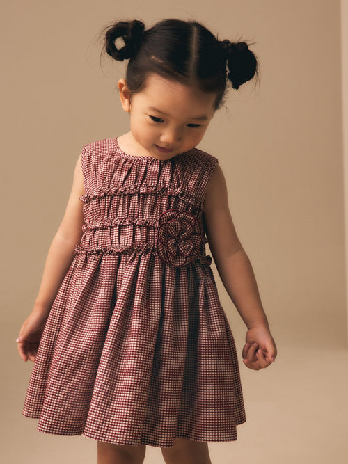 Chocolate Brown Gingham Corsage Dress (3mths-8yrs)