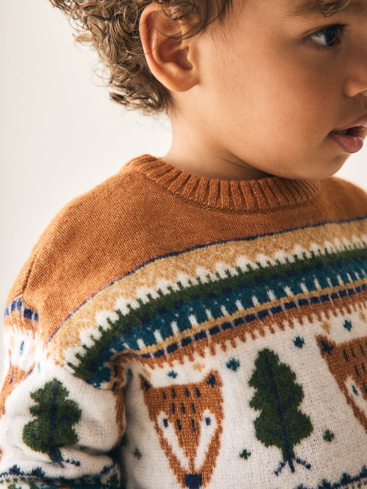Brown/Cream Character Knitted Crew Neck Jumper (3mths-7yrs)