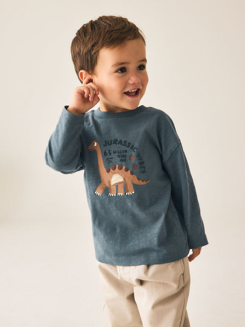 Grey Dino Jurassic Vibes Long Sleeve Graphic T-Shirt (3mths-7yrs)