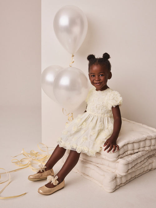 Ivory 3D Flower Occasion Dress (3mths-8yrs)