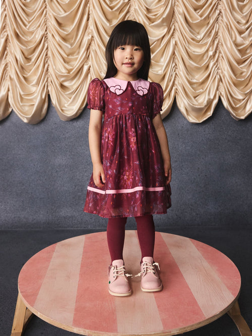 Burgundy Floral Embroidered Collar Puff Sleeve Occasion Dress (3mths-8yrs)