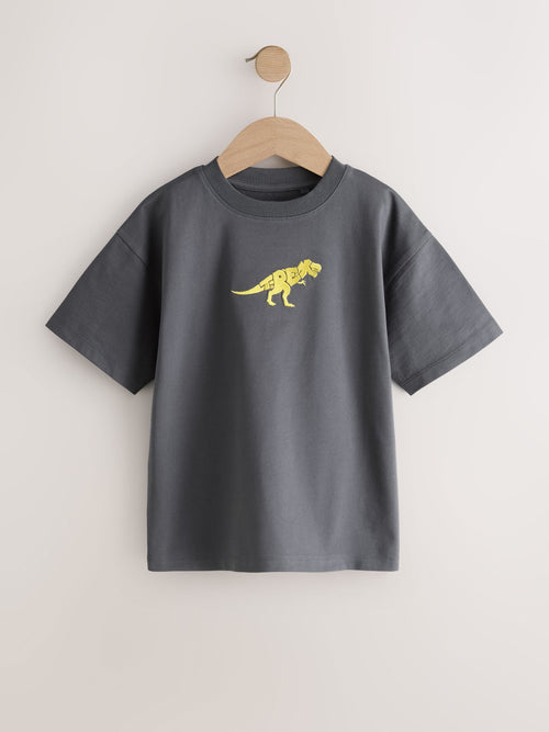 Charcoal Dino Embroidery Relaxed Fit Short Sleeve Graphic T-Shirt (3-16yrs)